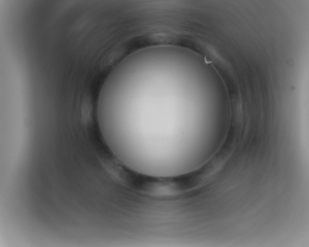 X0000113910266200909241515