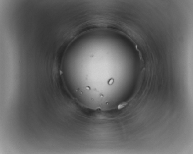 X0000113910268200909241515