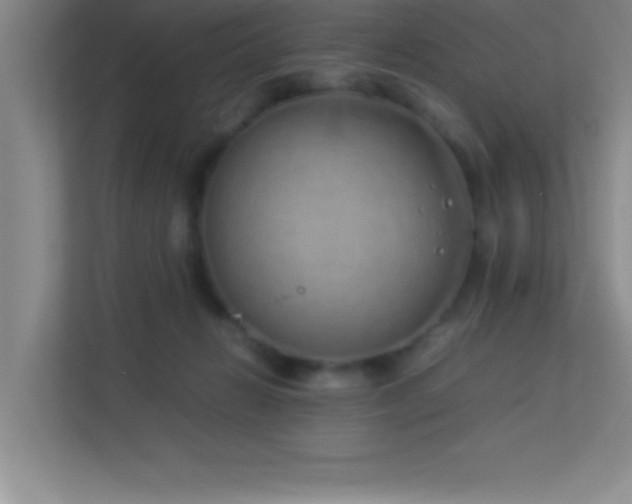 X0000113910270200909241515
