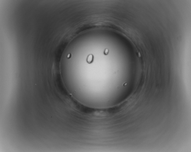 X0000113910272200909241515