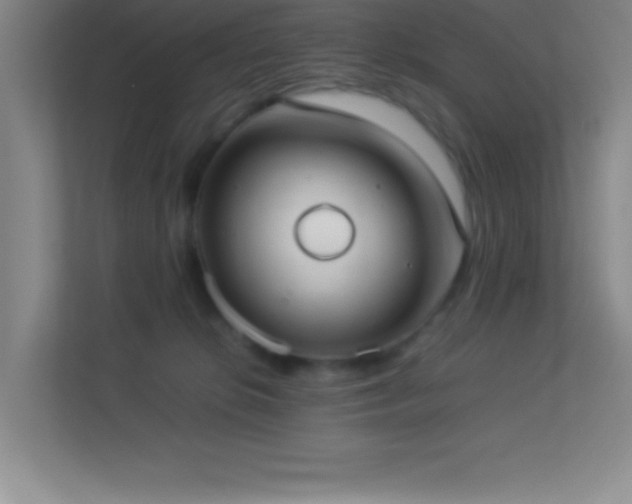 X0000113910276200909241515