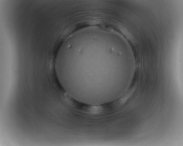 X0000113910277200909241515