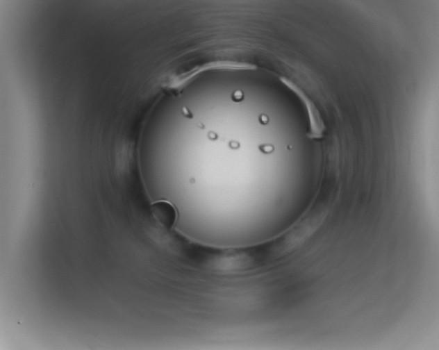 X0000113910278200909241515