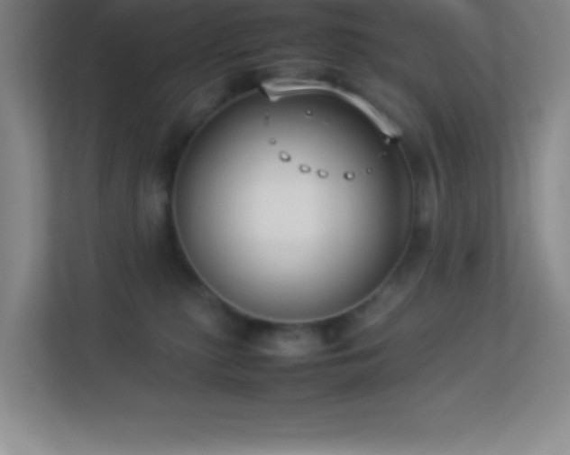 X0000113910279200909241515