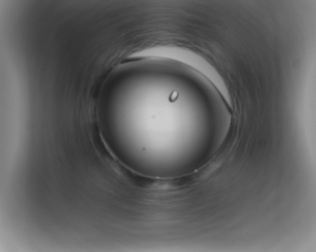 X0000113910280200909241515
