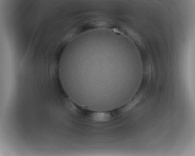 X0000113910281200909241515