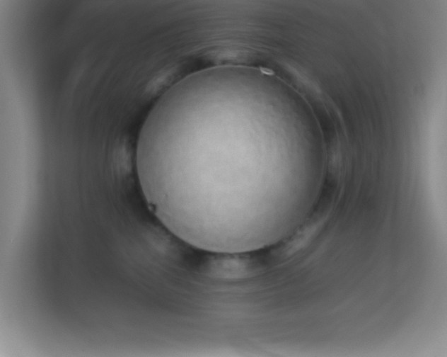 X0000113910282200909241515