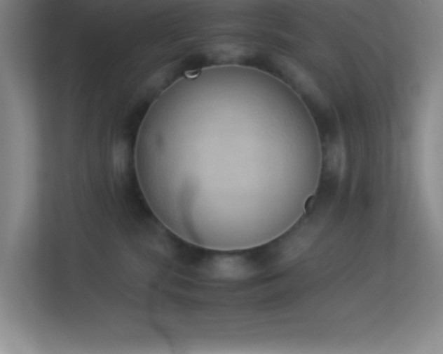 X0000113910283200909241515
