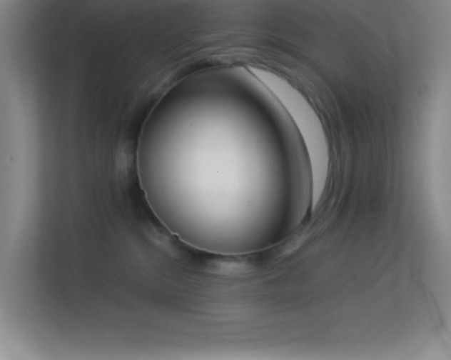 X0000113910284200909241516