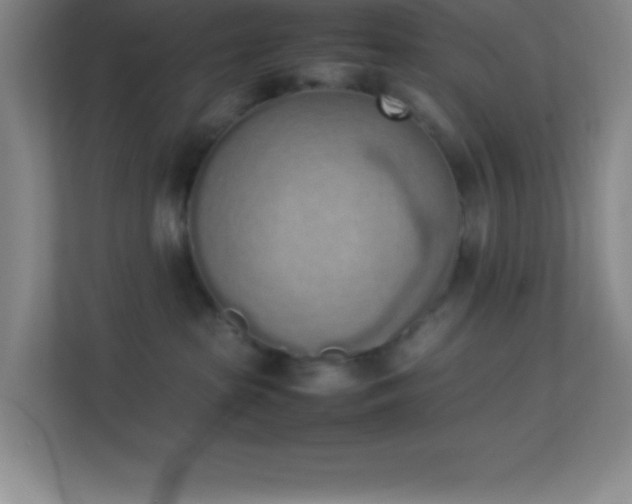 X0000113910285200909241516