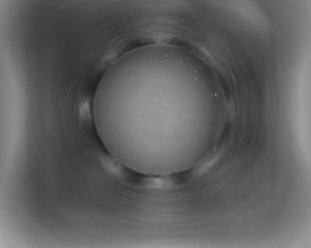 X0000113910286200909241516