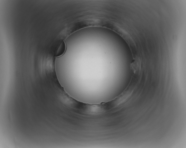 X0000113910287200909241516