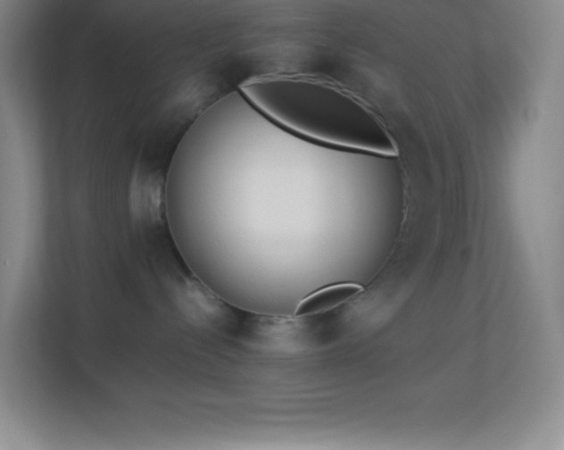X0000113910288200909241516