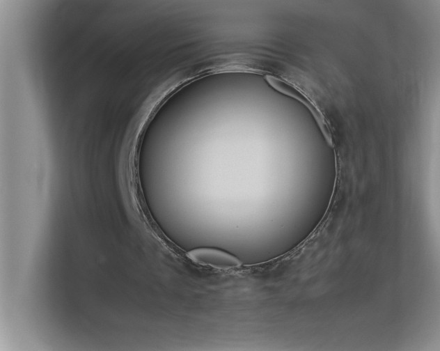 X0000113910289200909241515