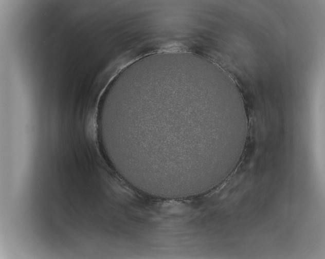 X0000113910290200909241515