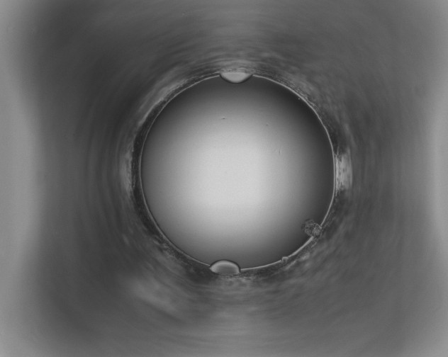 X0000113910291200909241515
