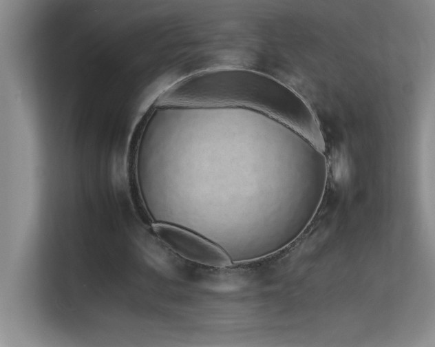X0000113910292200909241515
