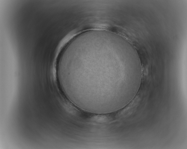 X0000113910294200909241515