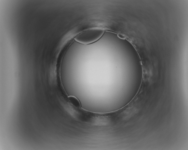 X0000113910296200909241515