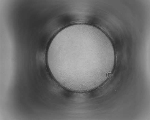 X0000113910297200909241515