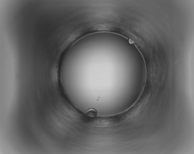 X0000113910299200909241515