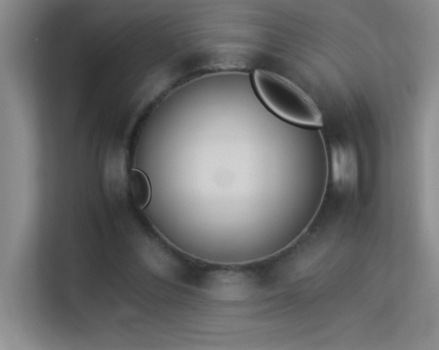 X0000113910300200909241515