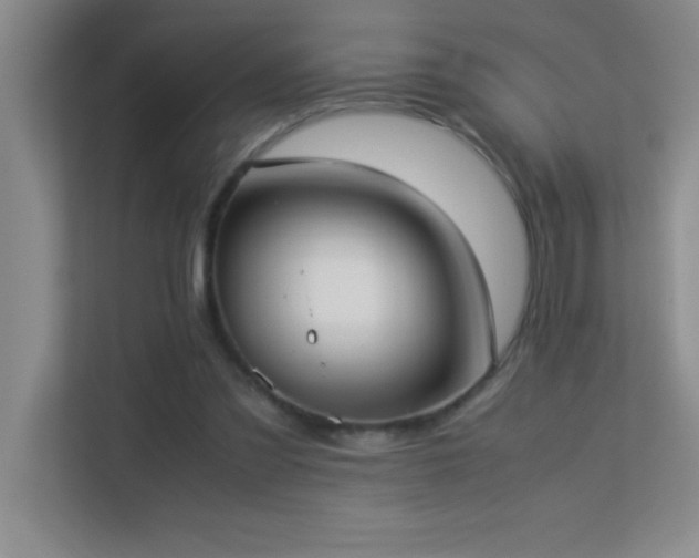 X0000113910301200909241515