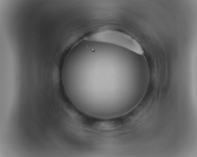 X0000113910303200909241515