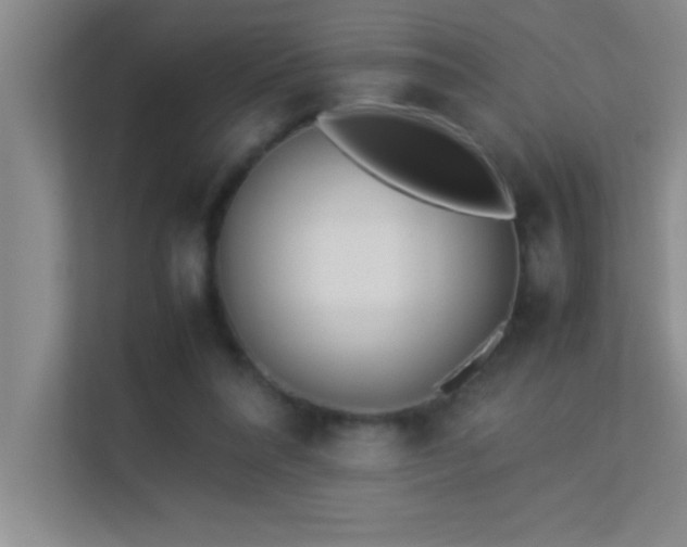 X0000113910304200909241515