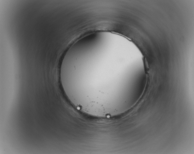 X0000113910305200909241515