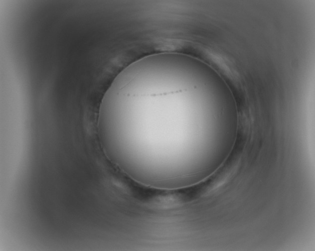 X0000113910307200909241515