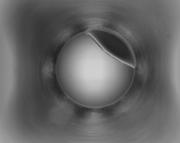 X0000113910308200909241515