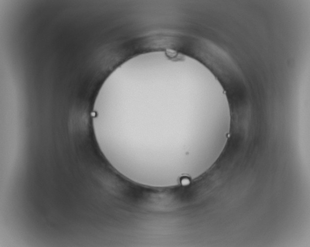 X0000113910309200909241515
