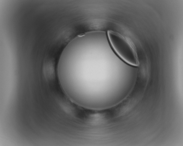 X0000113910312200909241515