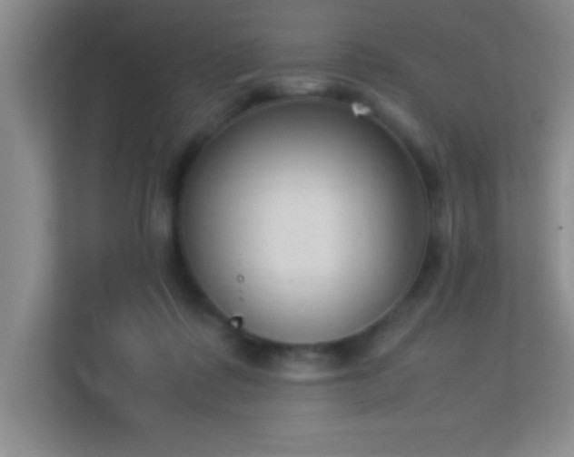 X0000113910315200909241515
