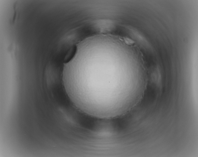 X0000113910316200909241515