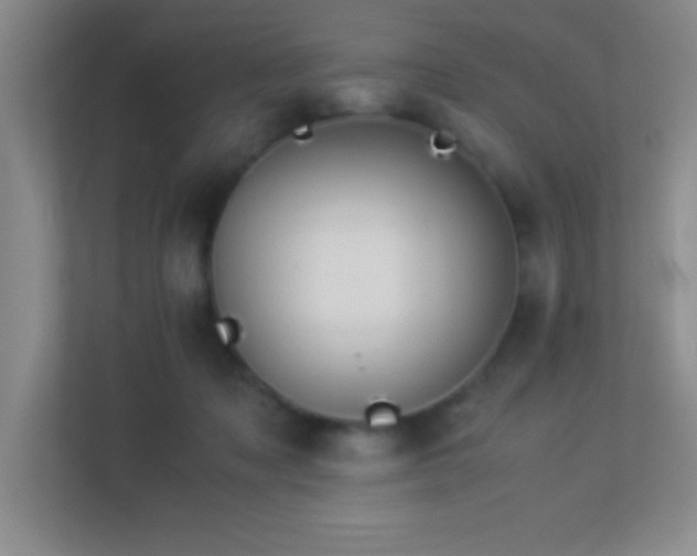 X0000113910317200909241515