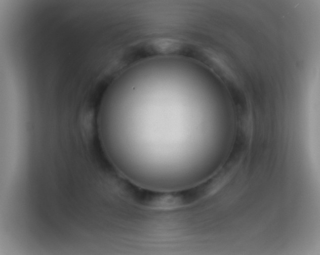 X0000113910319200909241515