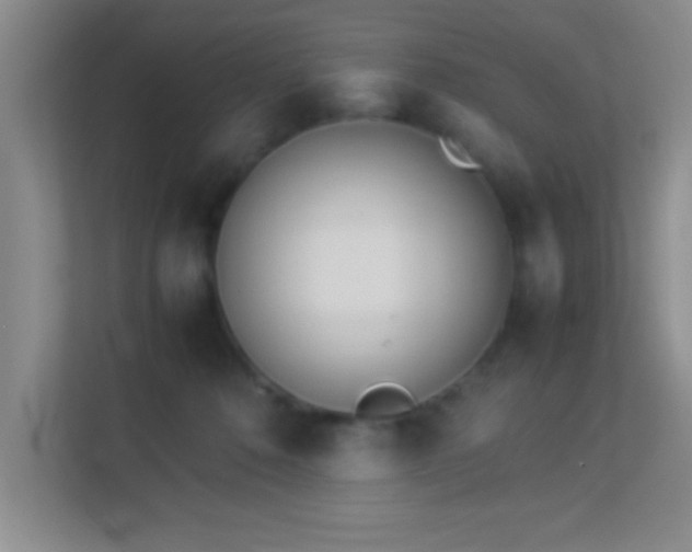 X0000113910320200909241515