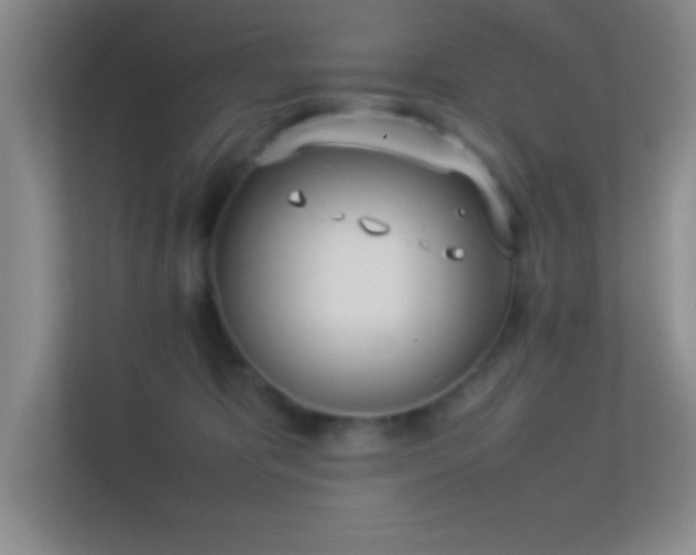 X0000113910325200909241514