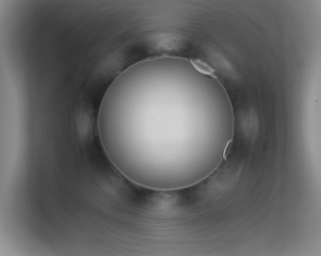 X0000113910328200909241514