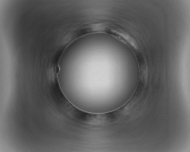 X0000113910329200909241514