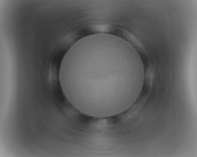 X0000113910330200909241514