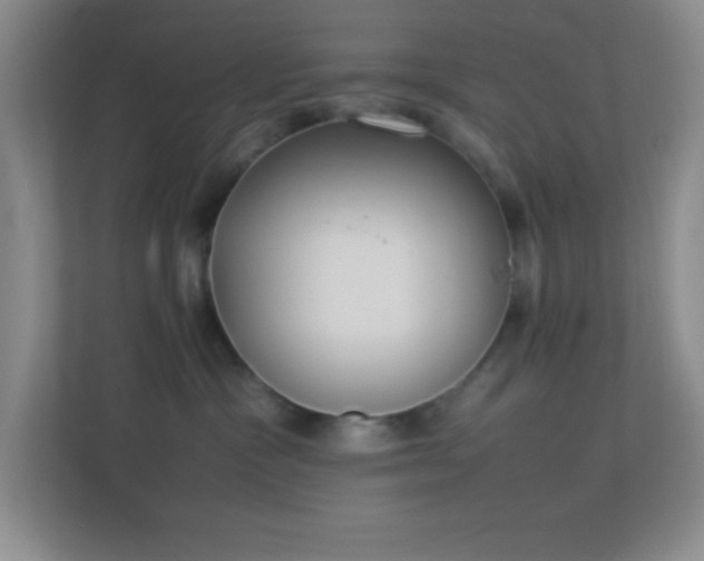X0000113910333200909241514