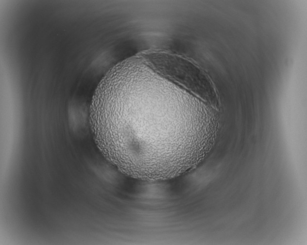 X0000113910336200909241514