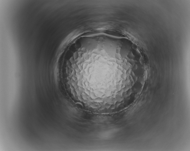 X0000113910339200909241514