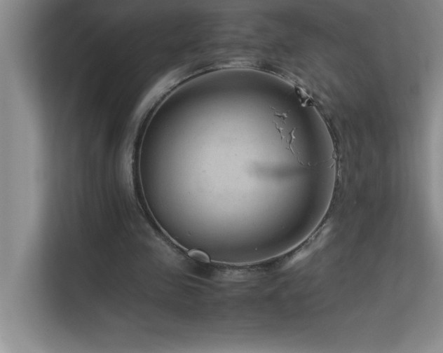 X0000113910341200909241514