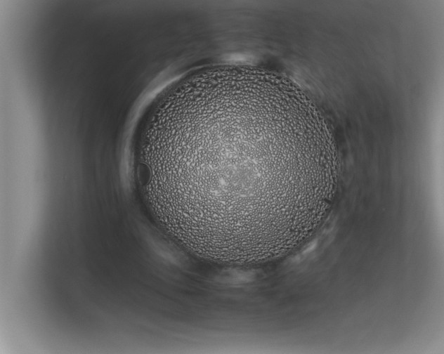 X0000113910343200909241514