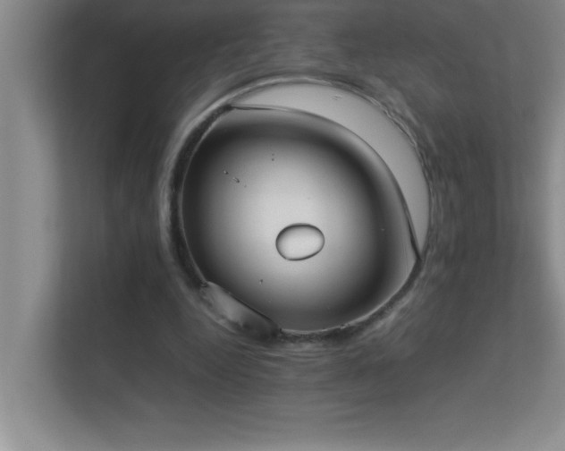 X0000113910344200909241514