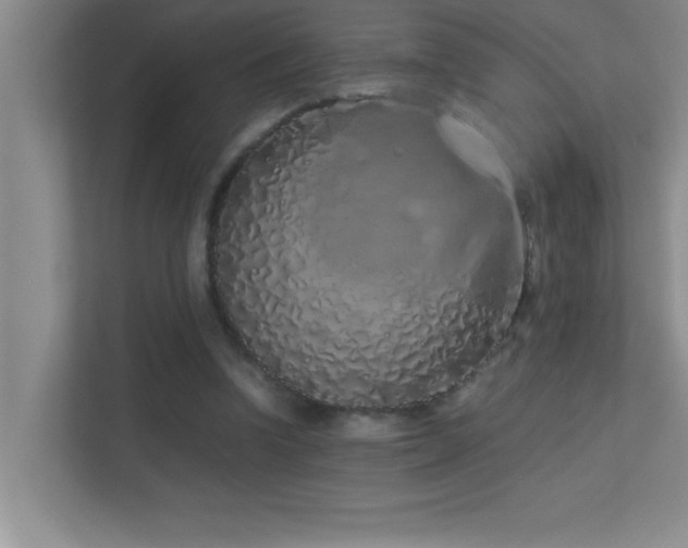 X0000113910346200909241514